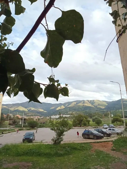 Vente Appartement Blida Bougara