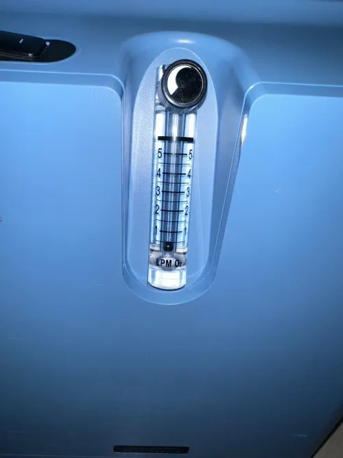 Concentrateur D'oxygène EverFlo 5L/Min - Excellente état très peu servi acheter en France