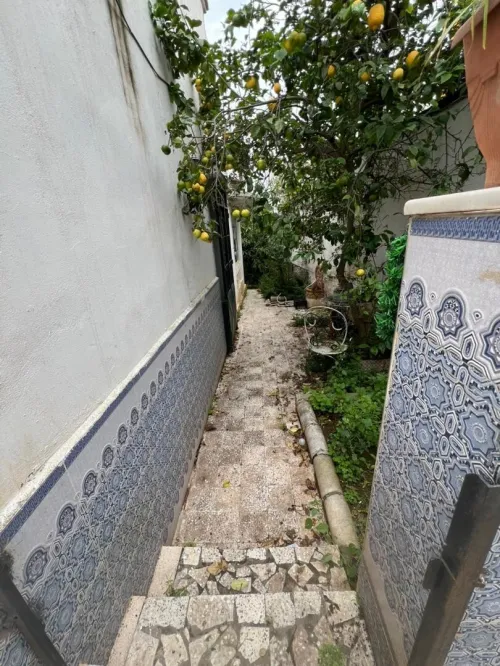 Vente Villa Alger Kouba