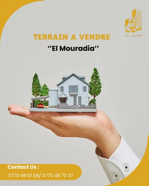 Vente Terrain Alger El mouradia