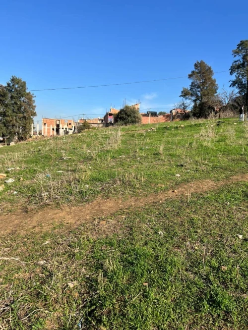 Vente Terrain Blida Meftah
