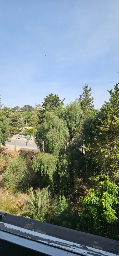 Location Appartement F4 Alger Dely brahim