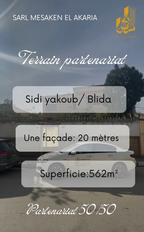 Vente Terrain Blida Blida