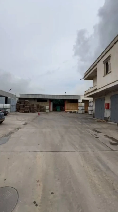 Vente Hangar - Usine Alger Les eucalyptus