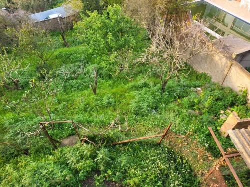 Vente Villa Alger Bouzareah