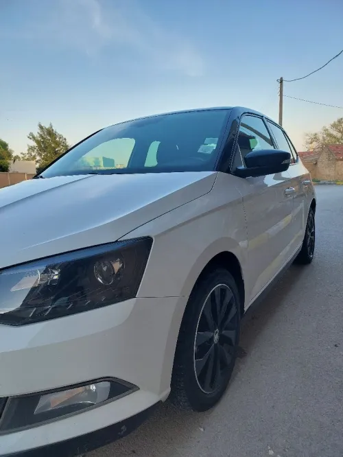 Skoda Fabia 2018 Monte Carlo