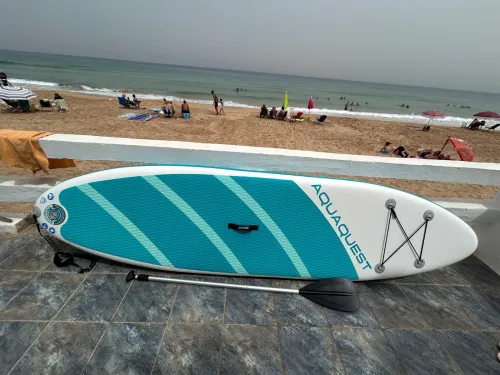 Paddle intex 320