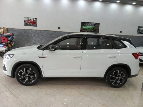 Skoda KamigGi 2025 Dfs