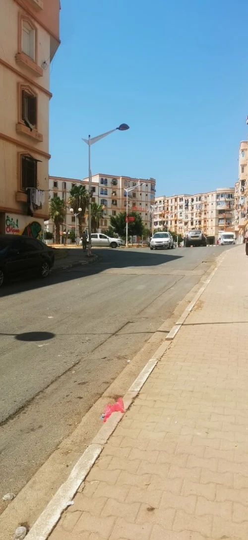 Location Local Alger Saoula