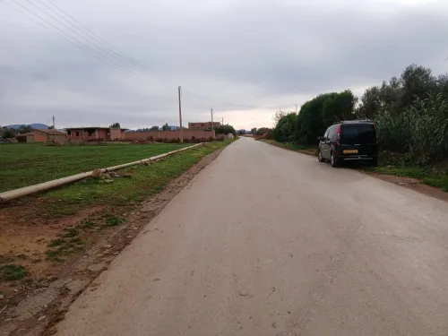 Vente Terrain Agricole Aïn Defla Ain soltane