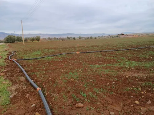 Vente Terrain Agricole Aïn Defla Ain soltane