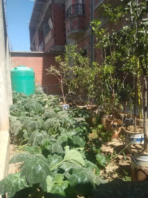 Vente Villa Boumerdès Ouled moussa