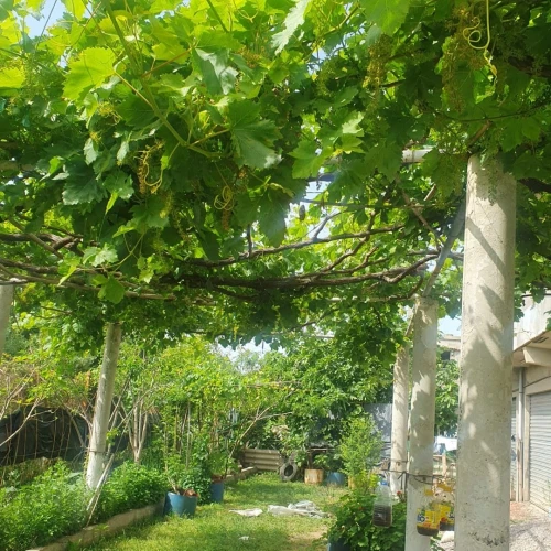 Location vacances Appartement F3 Jijel Jijel