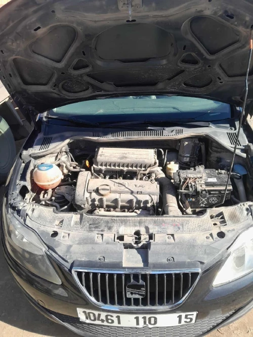Seat Ibiza 2010 Ibiza