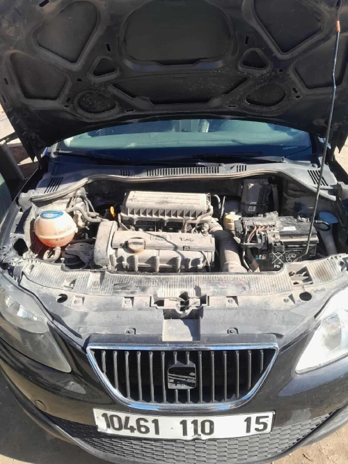 Seat Ibiza 2010 Ibiza
