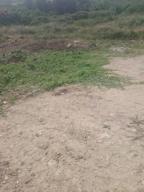 Vente Terrain Tizi Ouzou Azeffoun