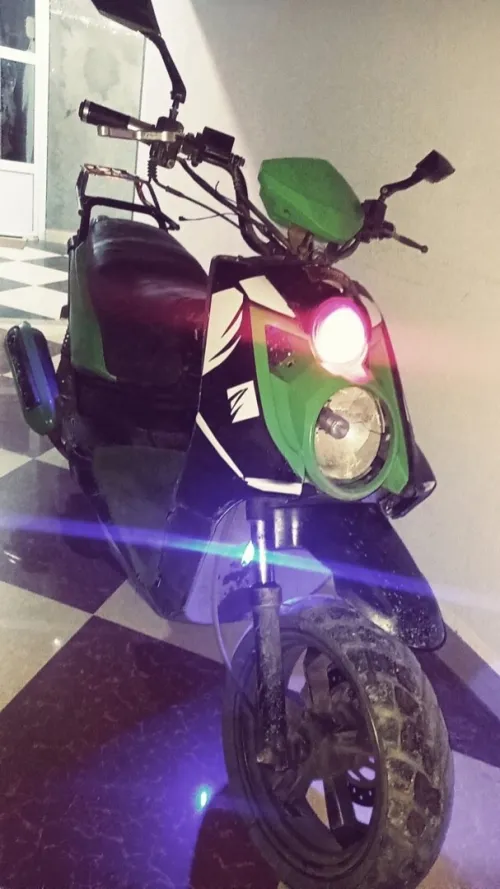 Okinoi Okinoi 2015
