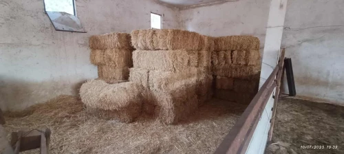 Vente Terrain Agricole Laghouat Laghouat