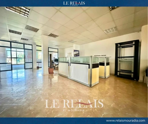 Location Local Alger Bir mourad rais