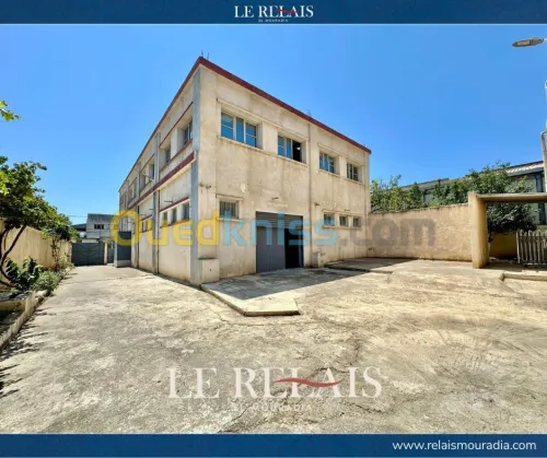Vente Hangar Alger Reghaia