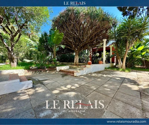 Vente Appartement F4 Alger Alger centre