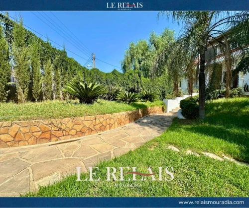 Vente Terrain Blida Beni mered
