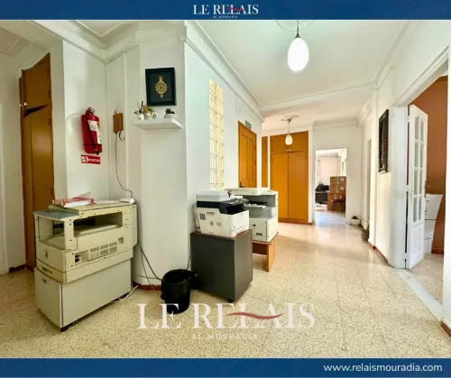 Location Appartement F4 Alger Hydra