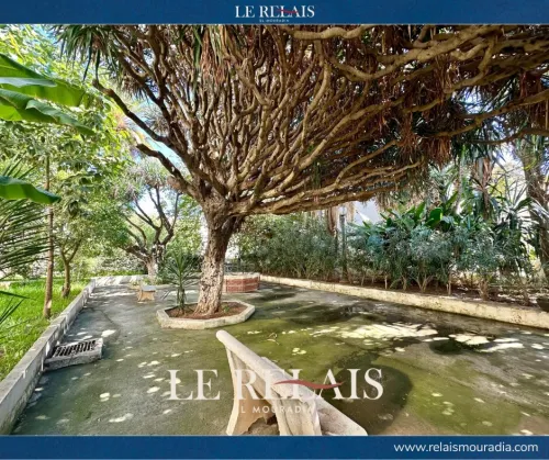Vente Appartement F4 Alger Alger centre