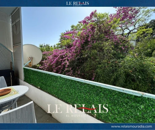 Location vacances Appartement Studio Alger Hydra