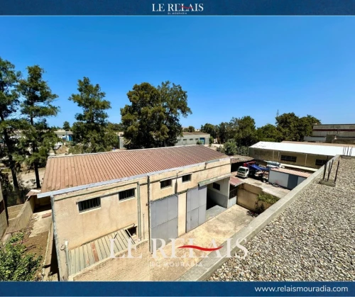 Vente Hangar Alger Reghaia