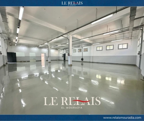 Vente Hangar Alger Reghaia