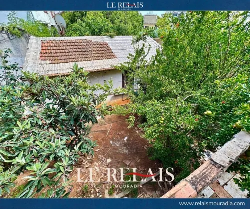 Vente Villa Alger Hydra