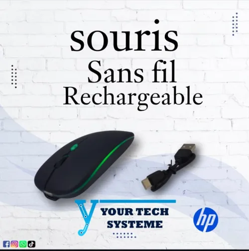 SOURIS HP
