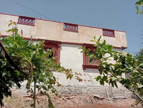 Location vacances Bungalow F3 Tlemcen Marsa ben mhidi