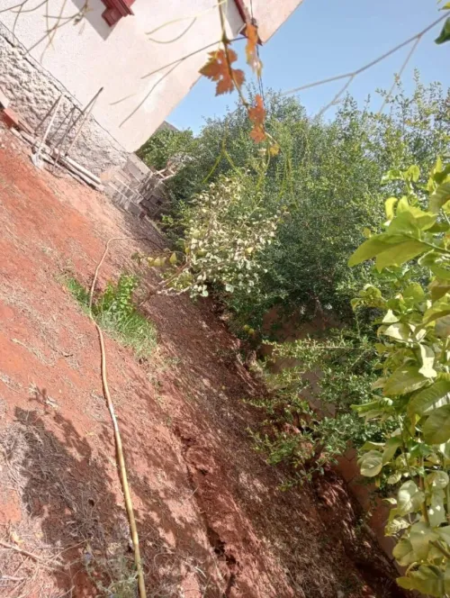 Location vacances Bungalow F3 Tlemcen Marsa ben mhidi