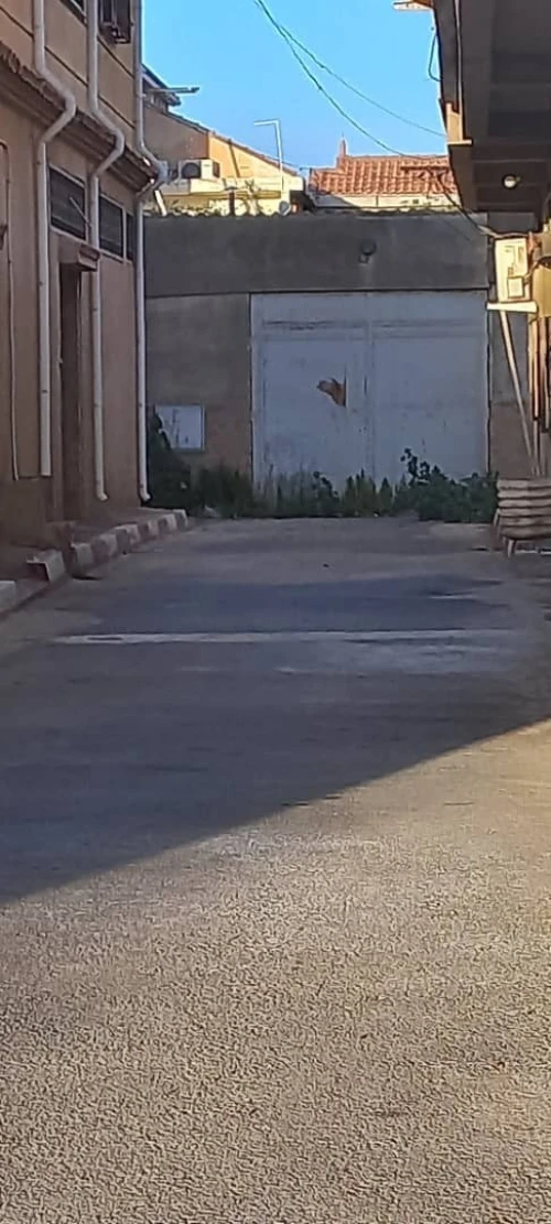 Vente Terrain Chlef Chlef
