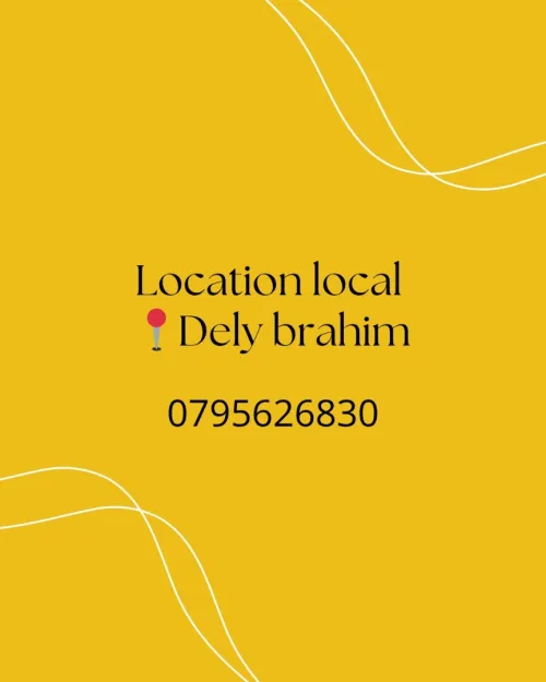 Location Appartement F3 Alger Dely brahim
