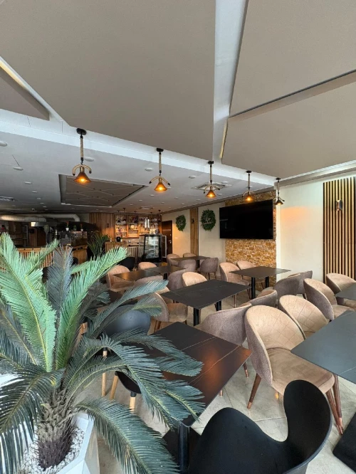 Location Local Alger Staoueli