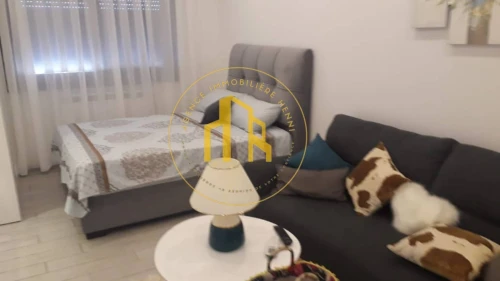 Location Studio Alger Hydra