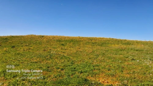 Vente Terrain Agricole Tipaza Meurad