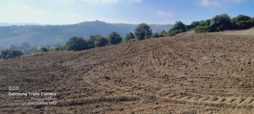 Vente Terrain Agricole Tipaza Meurad
