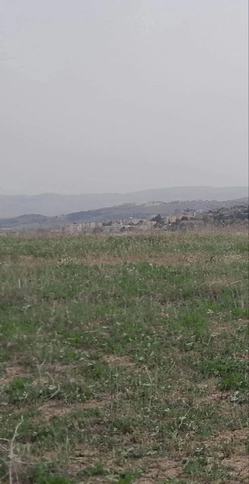 Vente Terrain Agricole Tipaza Meurad