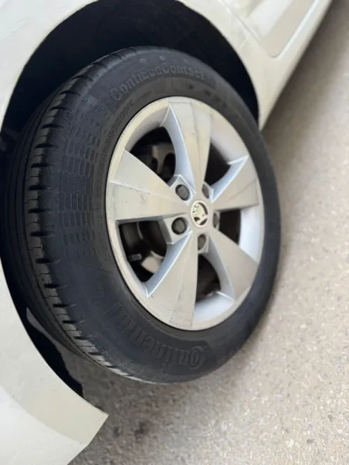 Skoda Octavia 2019 Business