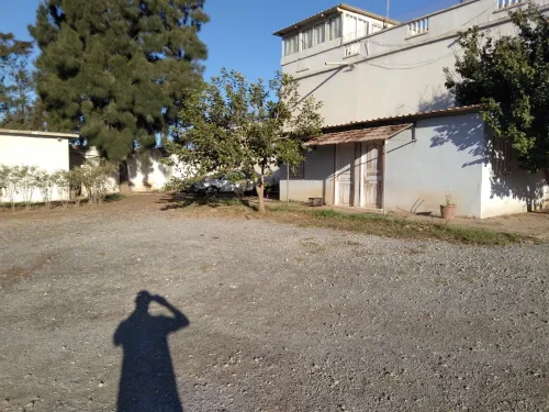 Location Hangar Alger Ain benian