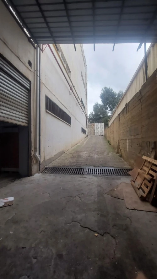 Vente Hangar - Usine Tipaza Bou ismail