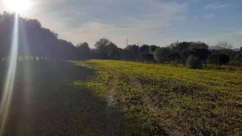 Vente Terrain Tizi ouzou Tizi rached