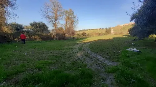 Vente Terrain Tizi ouzou Tizi rached