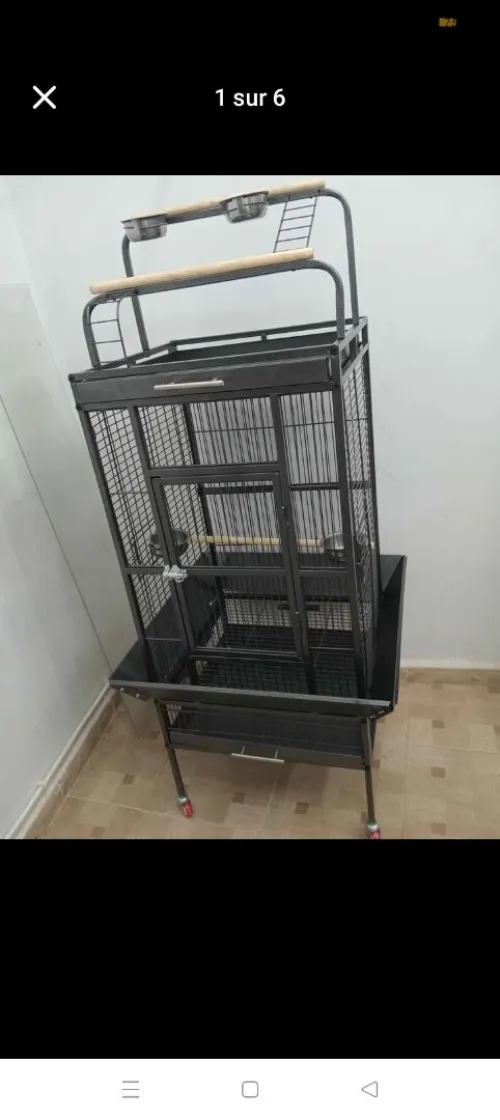 Cage perroquet
