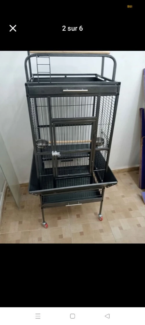 Cage perroquet