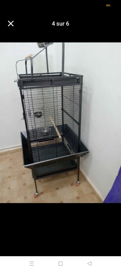 Cage perroquet